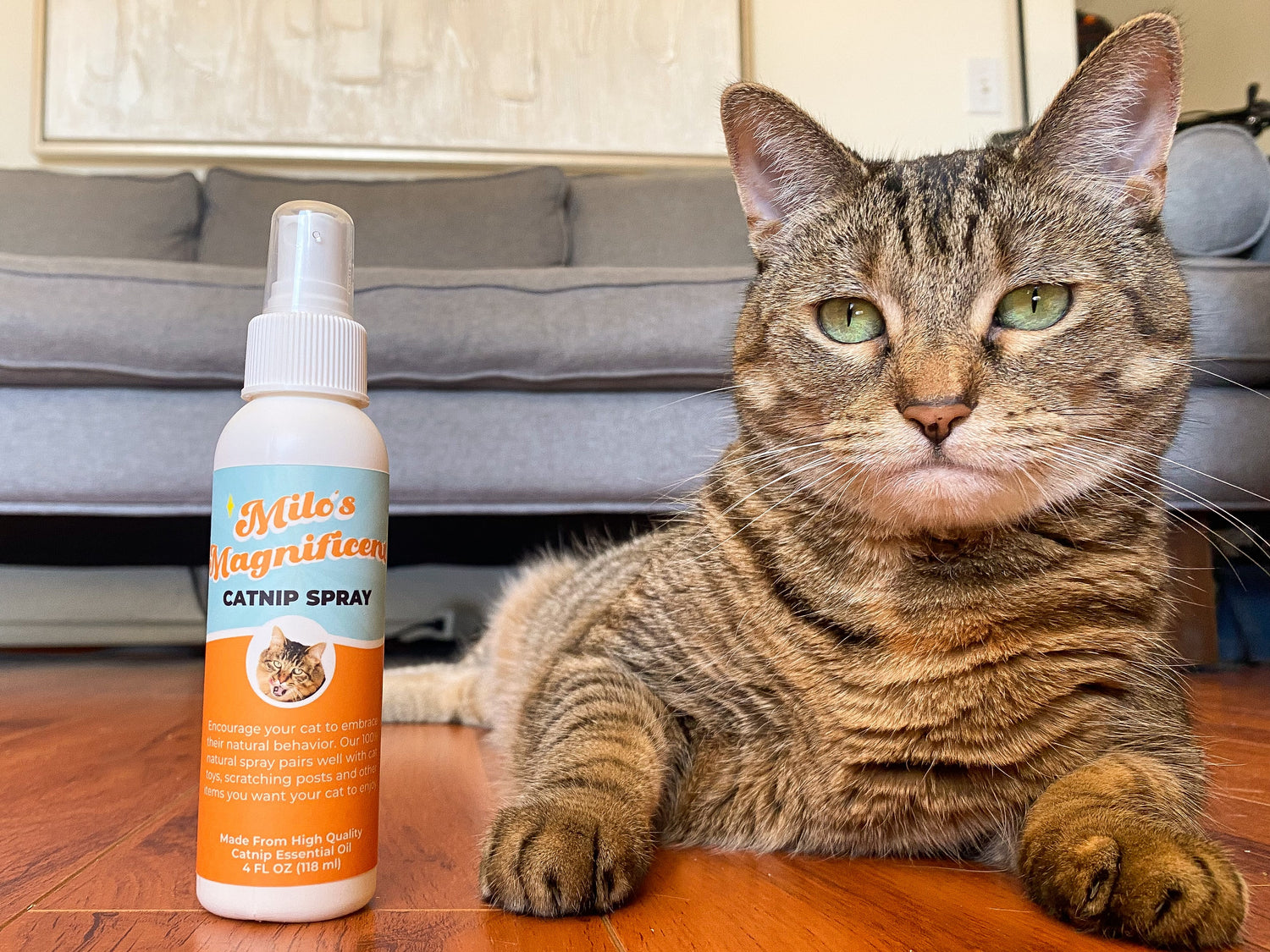 KONG - Naturals Catnip Spray for Cats - 1 Ounce : Catnip Toys  : Pet Supplies